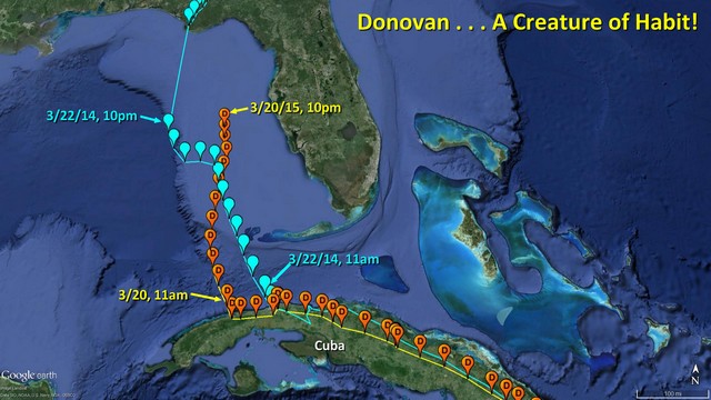 Donovan - 2015 to 2014 comparison from Cuba